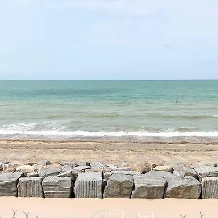 Daire Coutain Face *